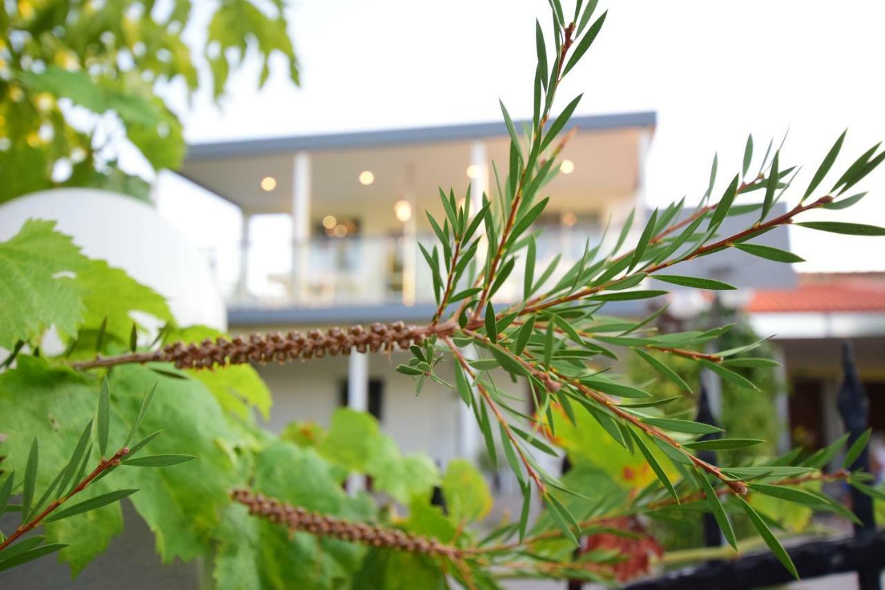 Vista Luxury Suites Toroni Halkidiki 1Br 외부 사진
